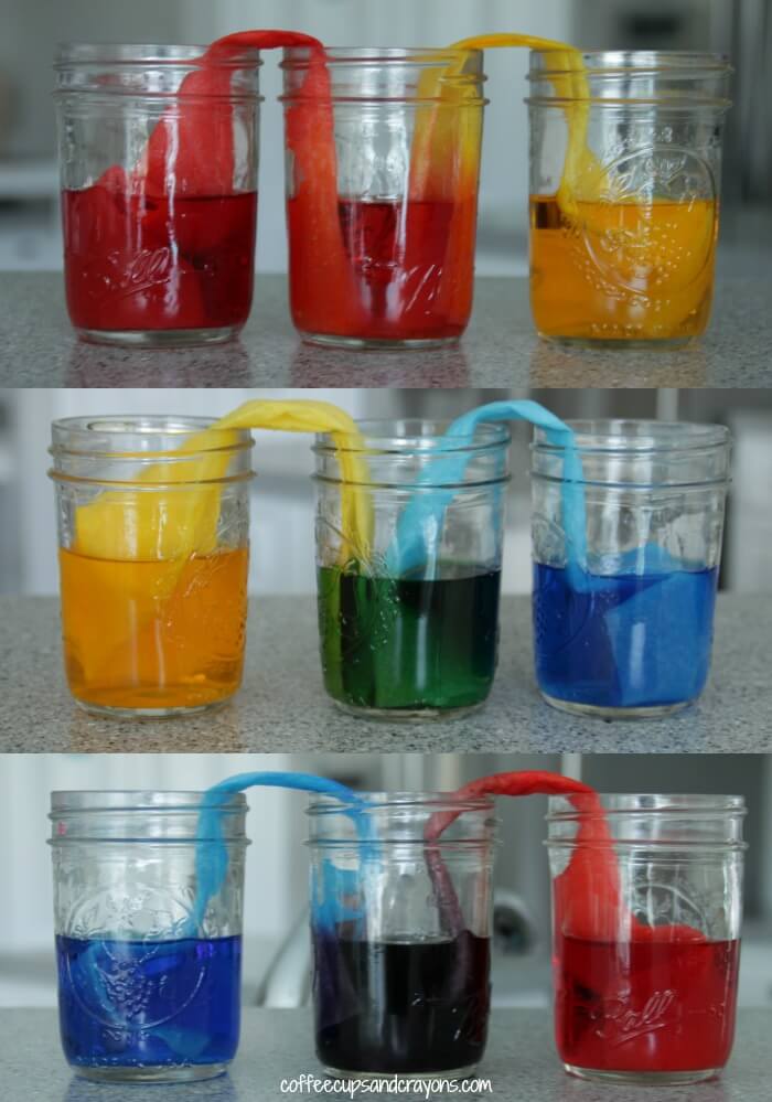 Walking-Water-Science-Experiment-for-Kids
